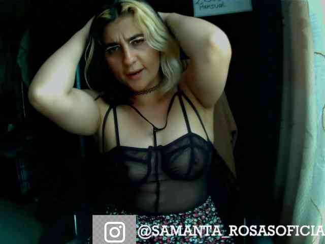 theplayful theplayful