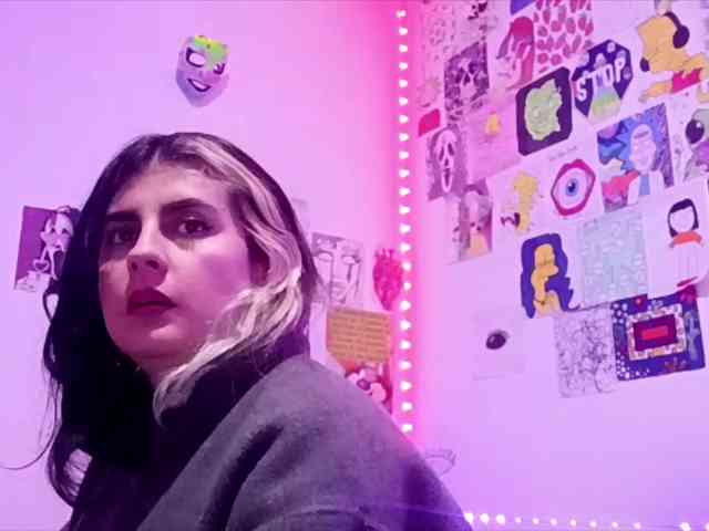 theplayful webcam