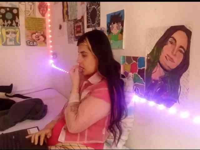 theplayful webcam