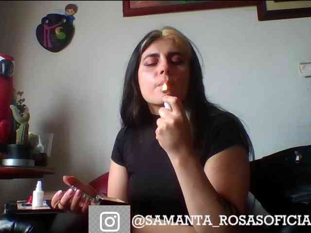 theplayful webcam