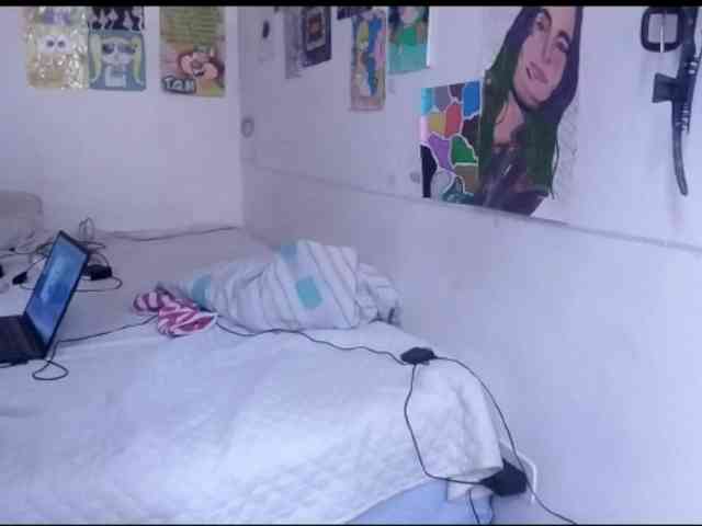 theplayful webcam