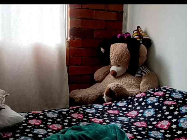 theplayful webcam