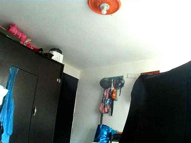 theplayful webcam