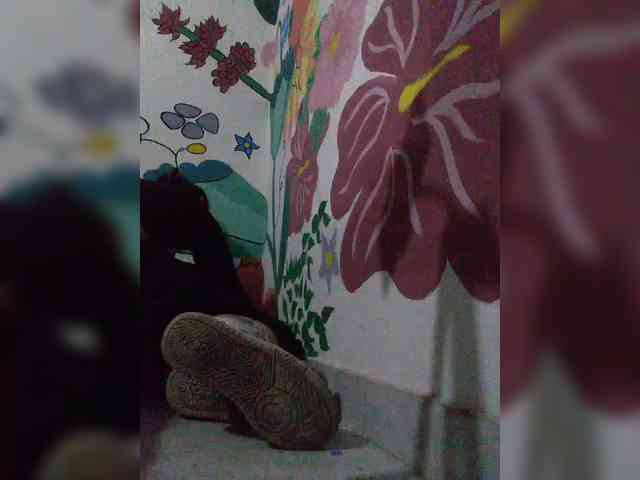 theplayful webcam