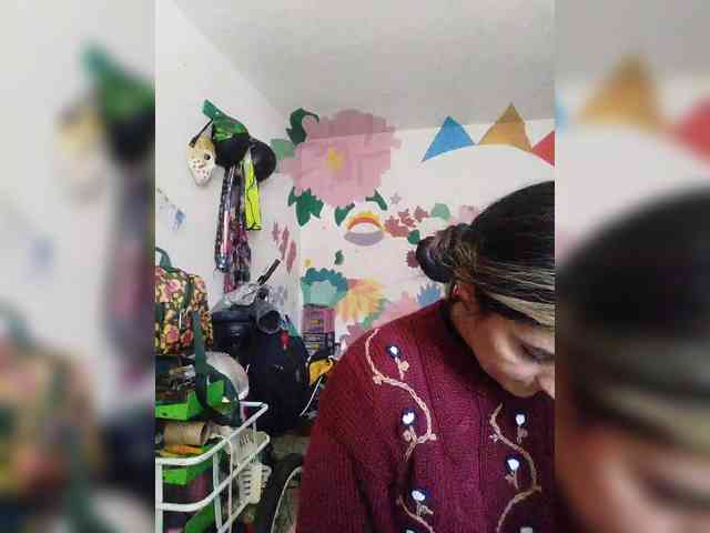theplayful webcam