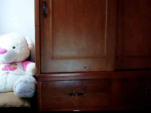 theplayful webcam
