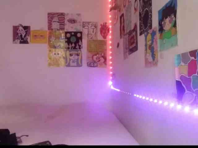 theplayful webcam