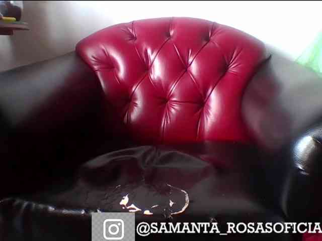 theplayful webcam
