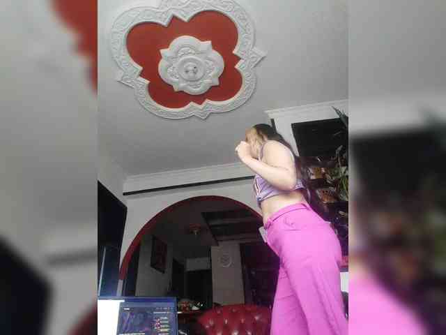 theplayful webcam