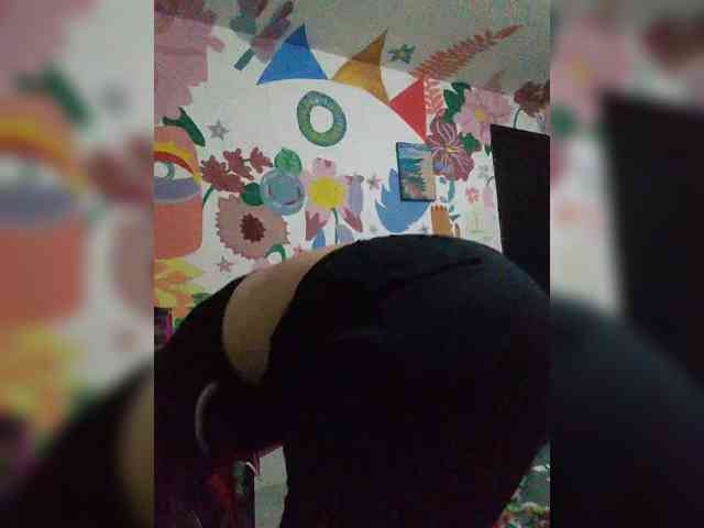 theplayful webcam