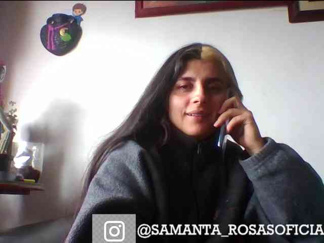 theplayful webcam