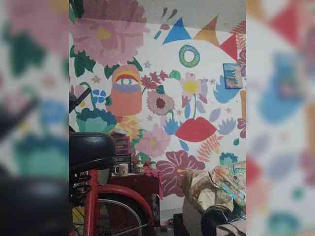 theplayful webcam