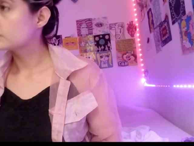 theplayful webcam