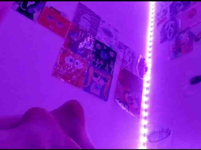 theplayful webcam