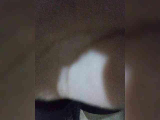 theplayful webcam