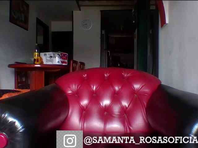 theplayful webcam