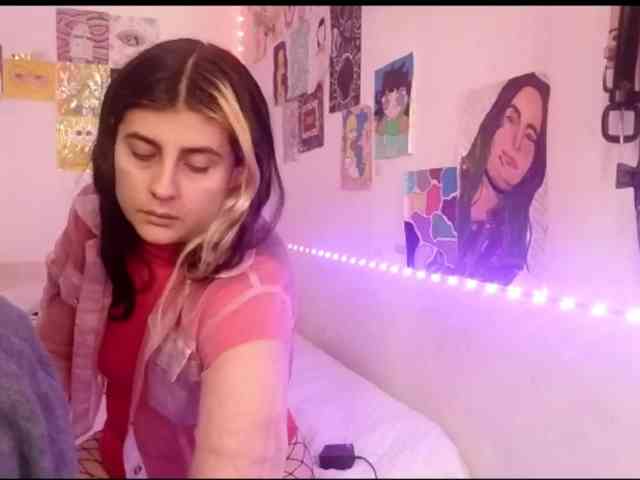 theplayful webcam
