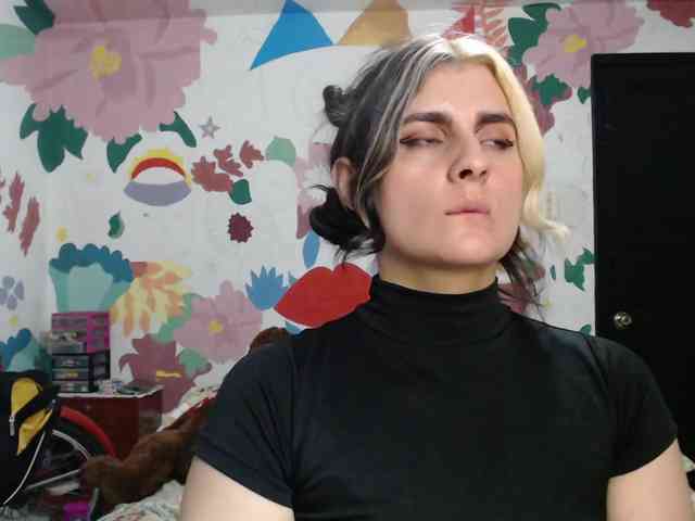 theplayful webcam