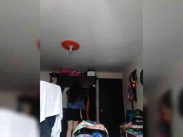 theplayful webcam