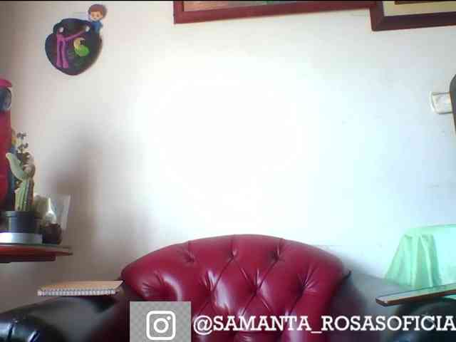 theplayful webcam