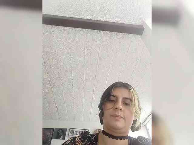 theplayful webcam