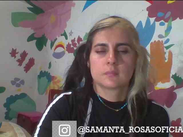 theplayful webcam