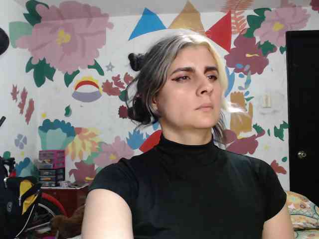 theplayful webcam