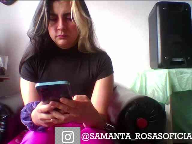 theplayful webcam