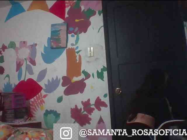 theplayful webcam