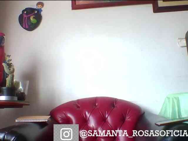 theplayful webcam