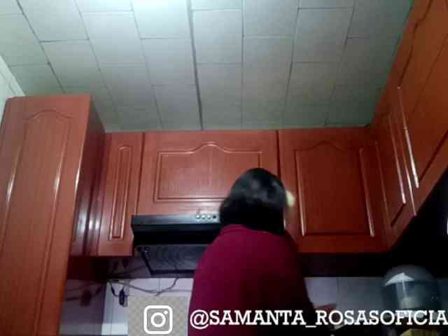 theplayful webcam