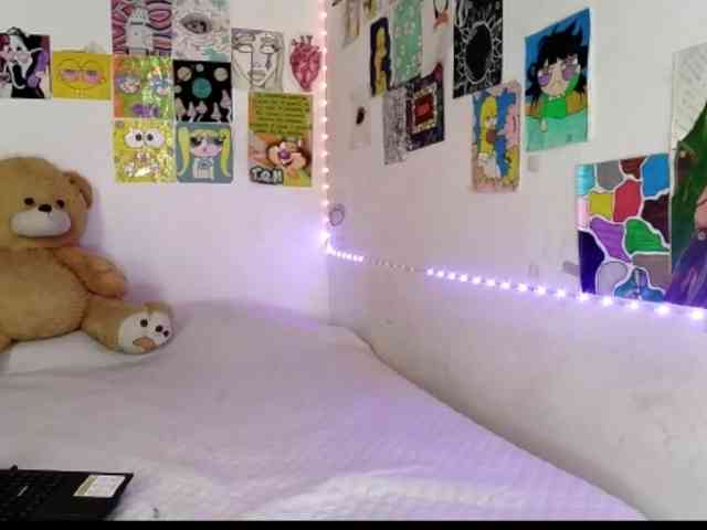 theplayful webcam