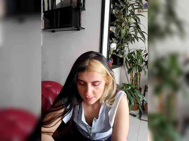 theplayful webcam