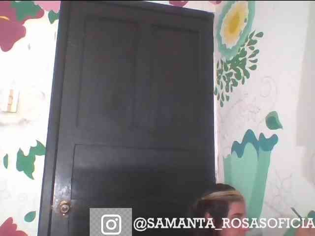 theplayful webcam