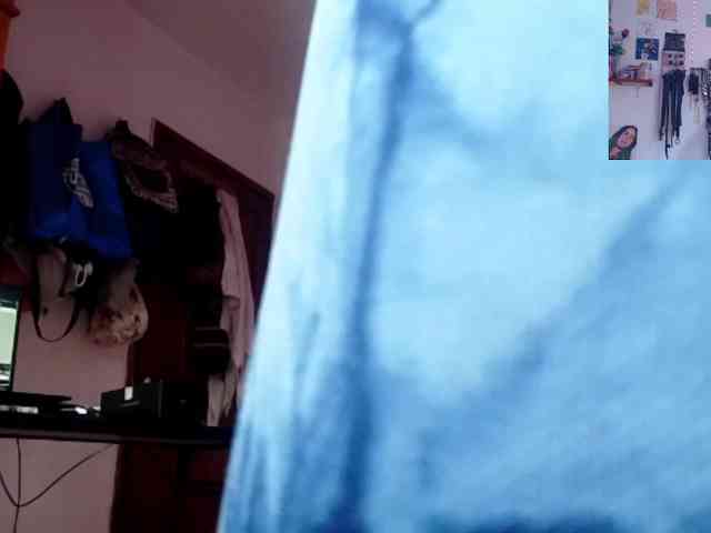 theplayful webcam