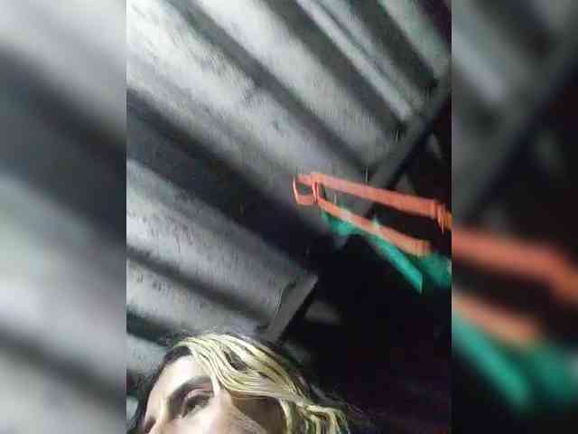 theplayful webcam