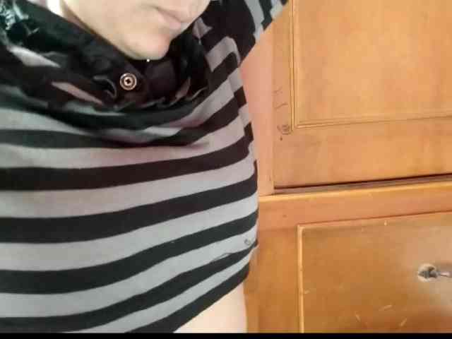 theplayful webcam