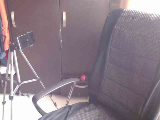 theplayful webcam