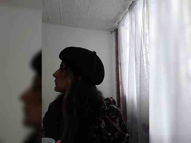 theplayful webcam
