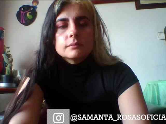 theplayful webcam