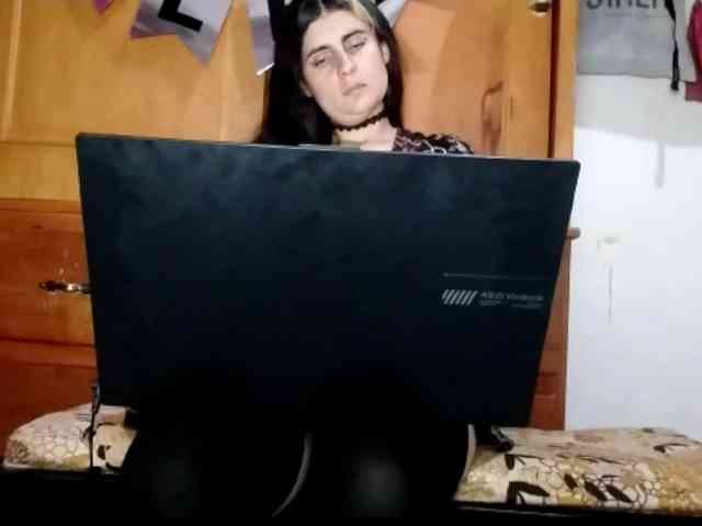 theplayful webcam