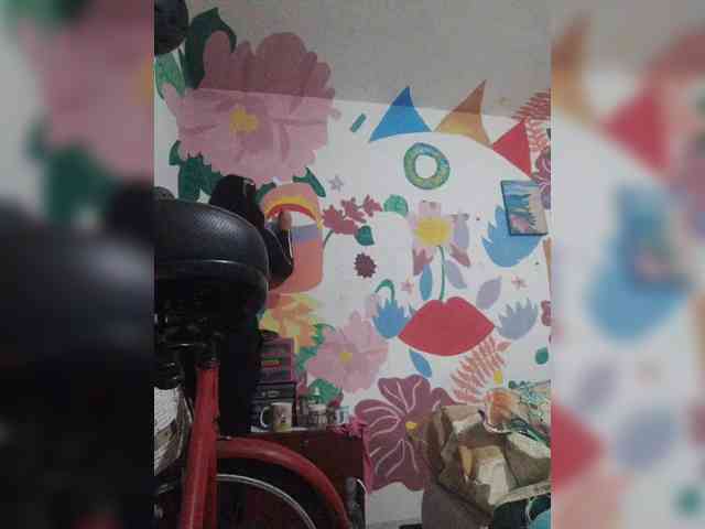 theplayful webcam