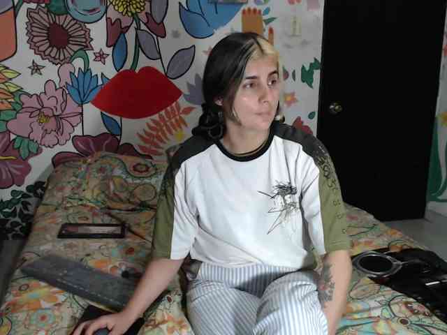 theplayful webcam