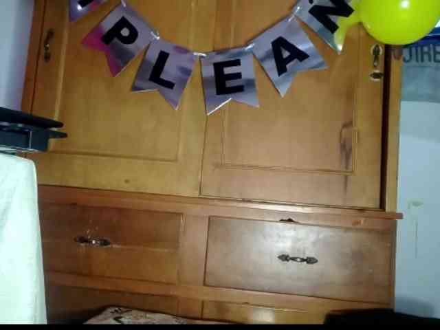 theplayful webcam