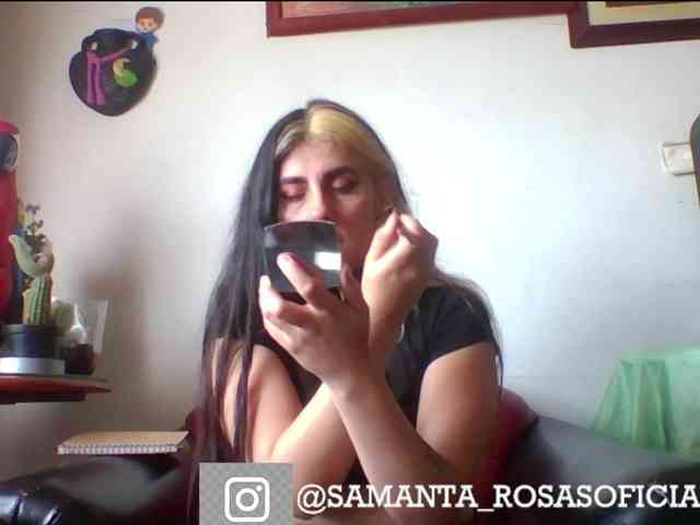 theplayful webcam