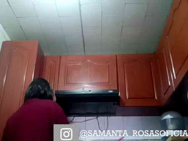 theplayful webcam