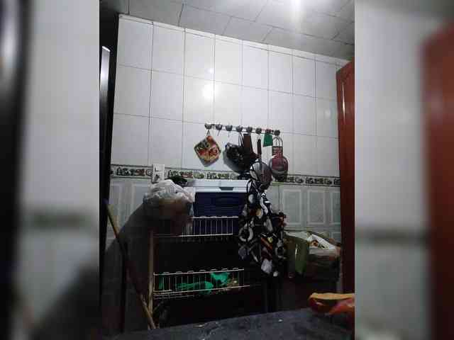 theplayful webcam