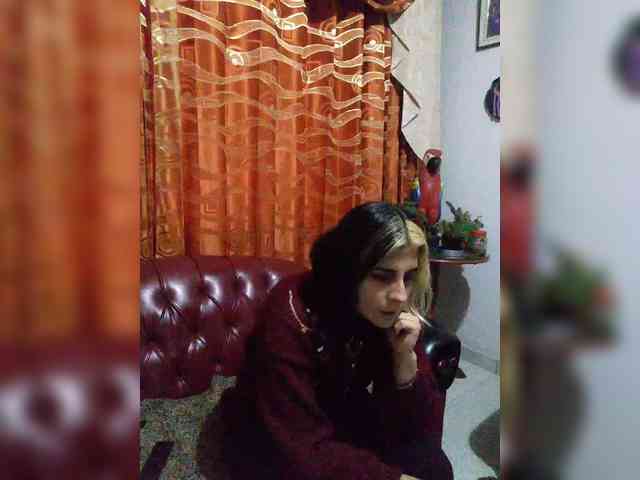 theplayful webcam