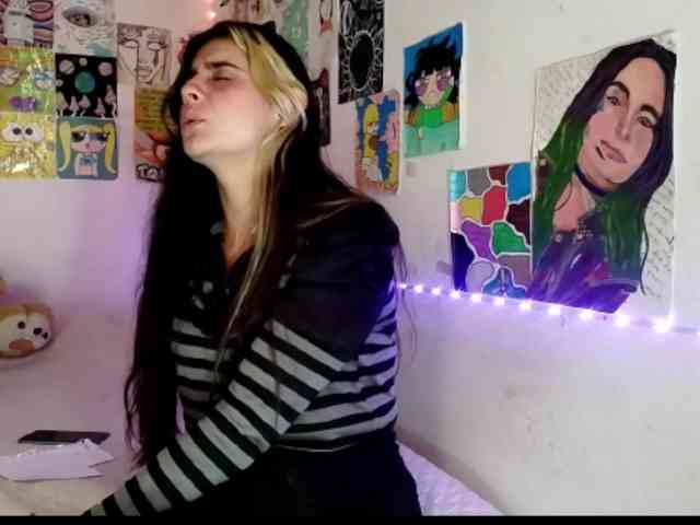 theplayful webcam