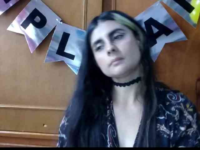 theplayful webcam